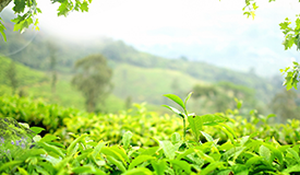 必赢3003no1线路检测中心