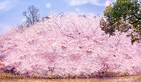 必赢3003no1线路检测中心