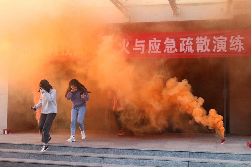 1573640661308100.jpg 2.jpg